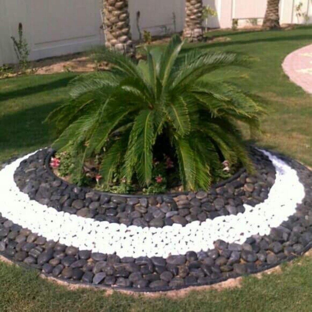 مهندس زراعي - 3