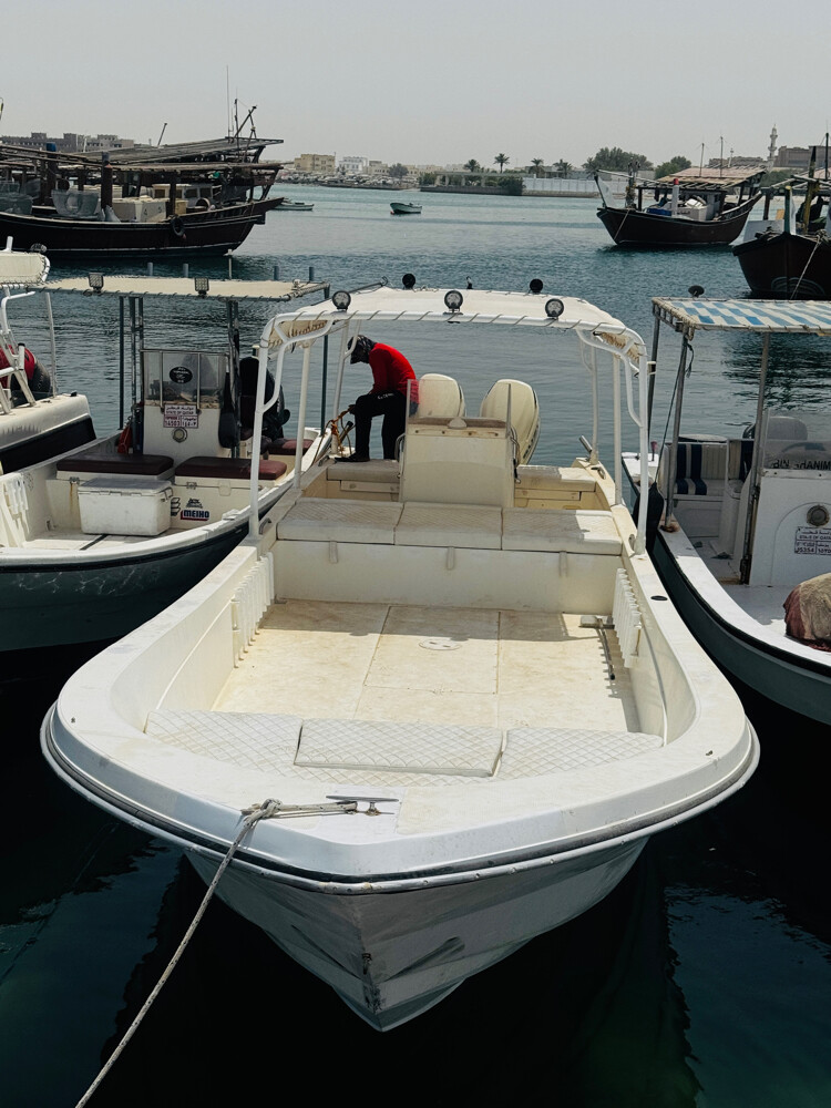 Boat for sale - 1