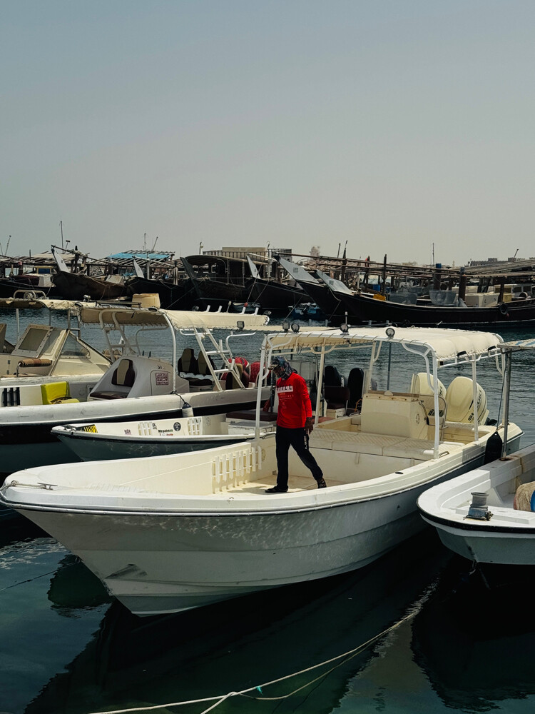 Boat for sale - 2