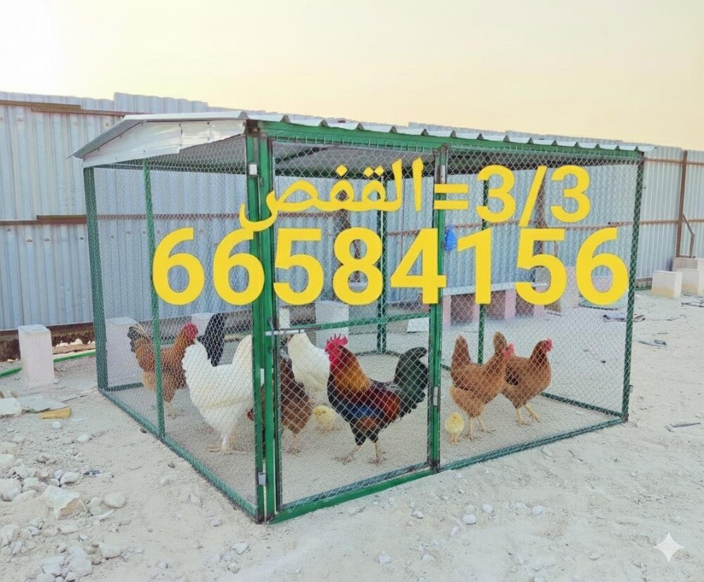 3/3=قن الحمام والدجاج - 1