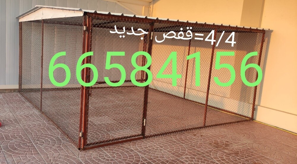 4/4=قن دجاج وحمام - 2