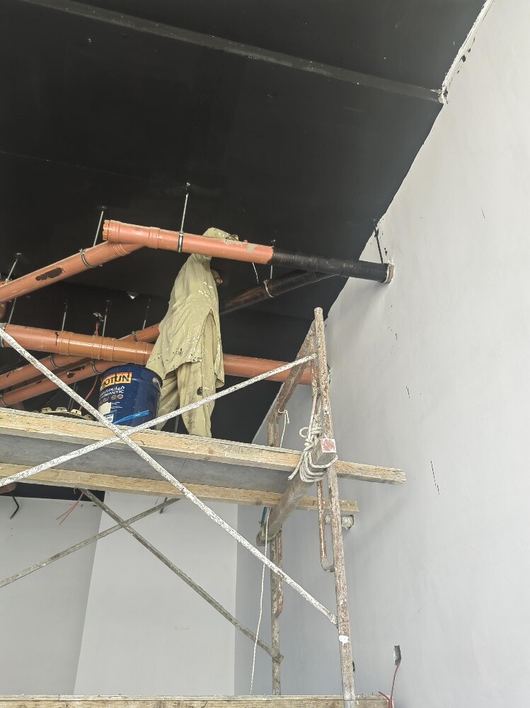 Ismail Pakistan Paint - 11