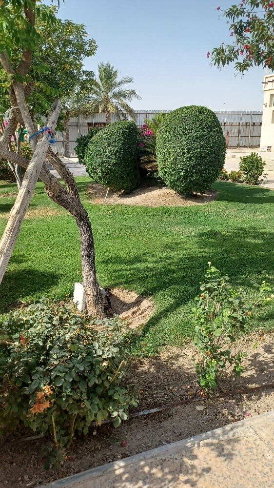 ديكور وزراعة الحدائق - 6