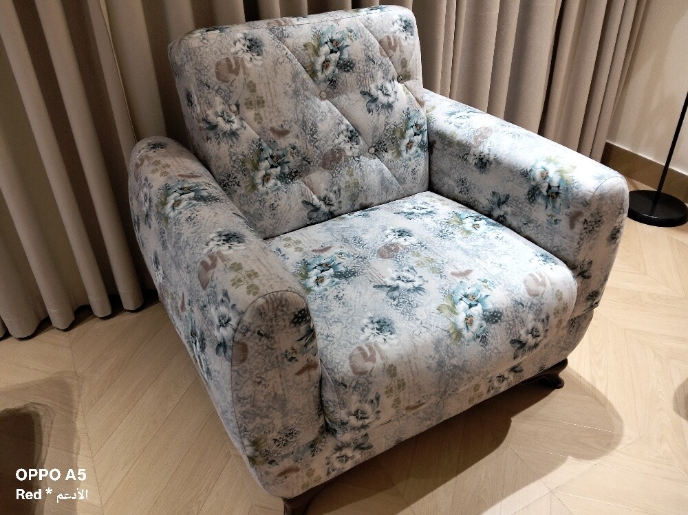 Perfect Couch Chair for sale - 2