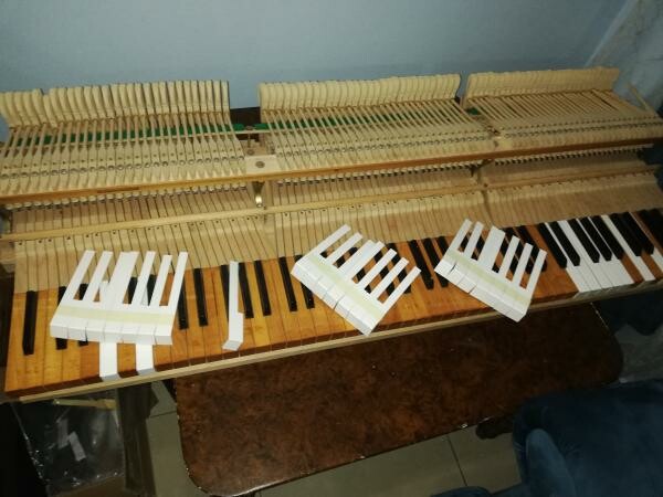 Piano Tuning & Repairing - 3