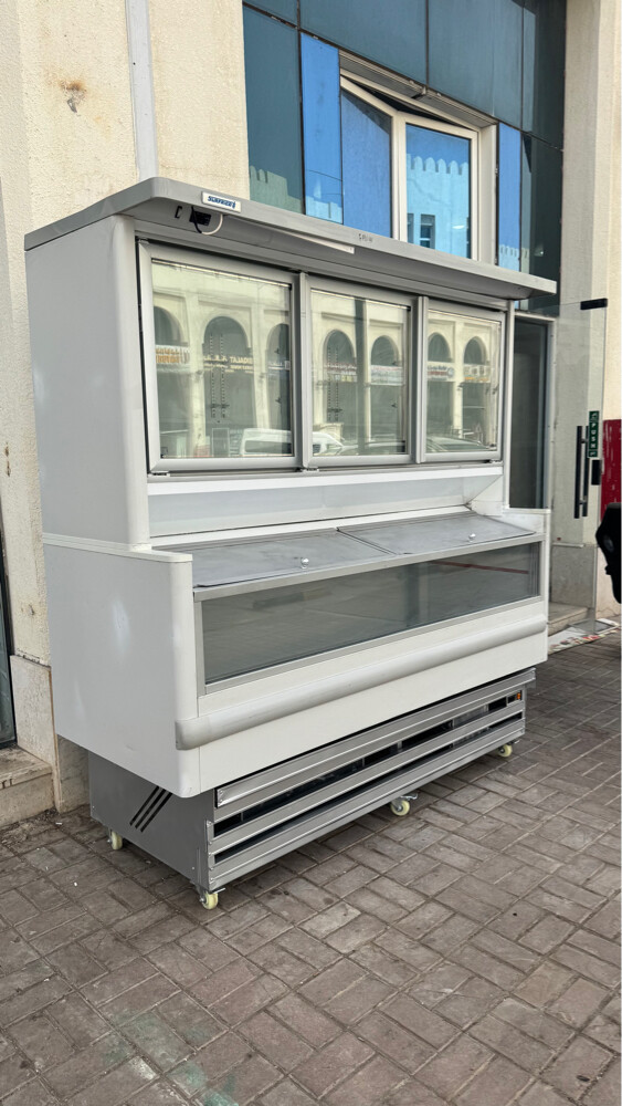 Combi Freezer - 3