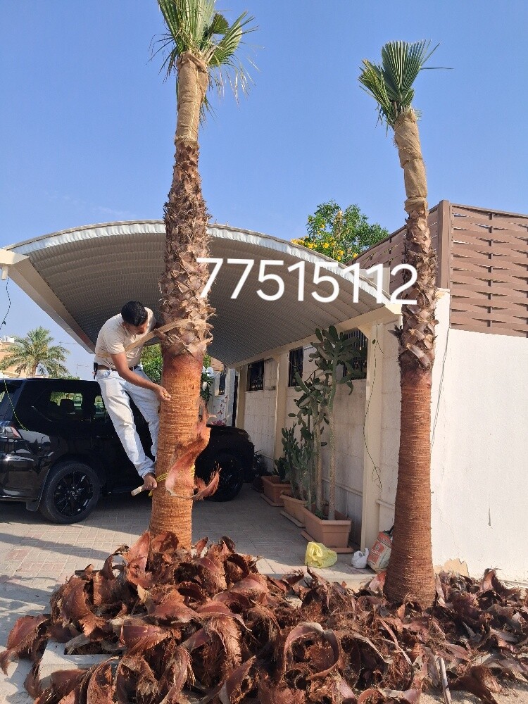 أعمال الانترلوك - 9