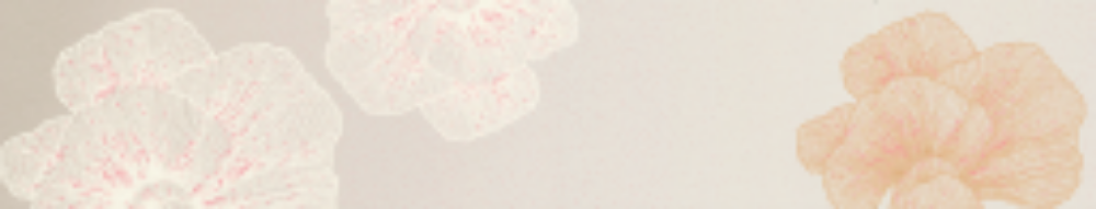 امين - 1