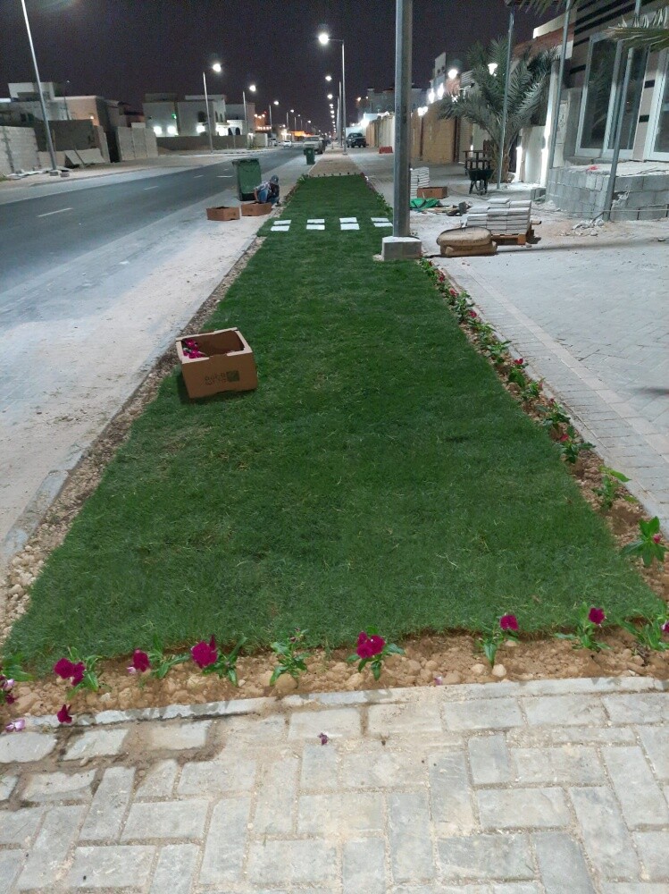 زراعه وديكورات حدائق - 3