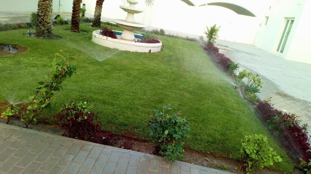 زراعه وديكورات حدائق - 2