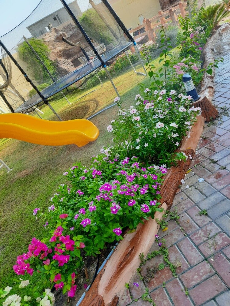 زراعه وديكورات حدائق - 6