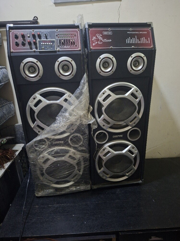 speaker - 4