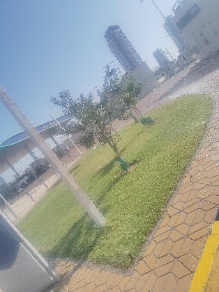 تنسيق وتجهيز الحدائق - 22
