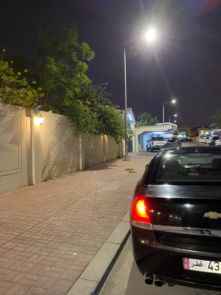 كابرس ٢٠١٠ - 3