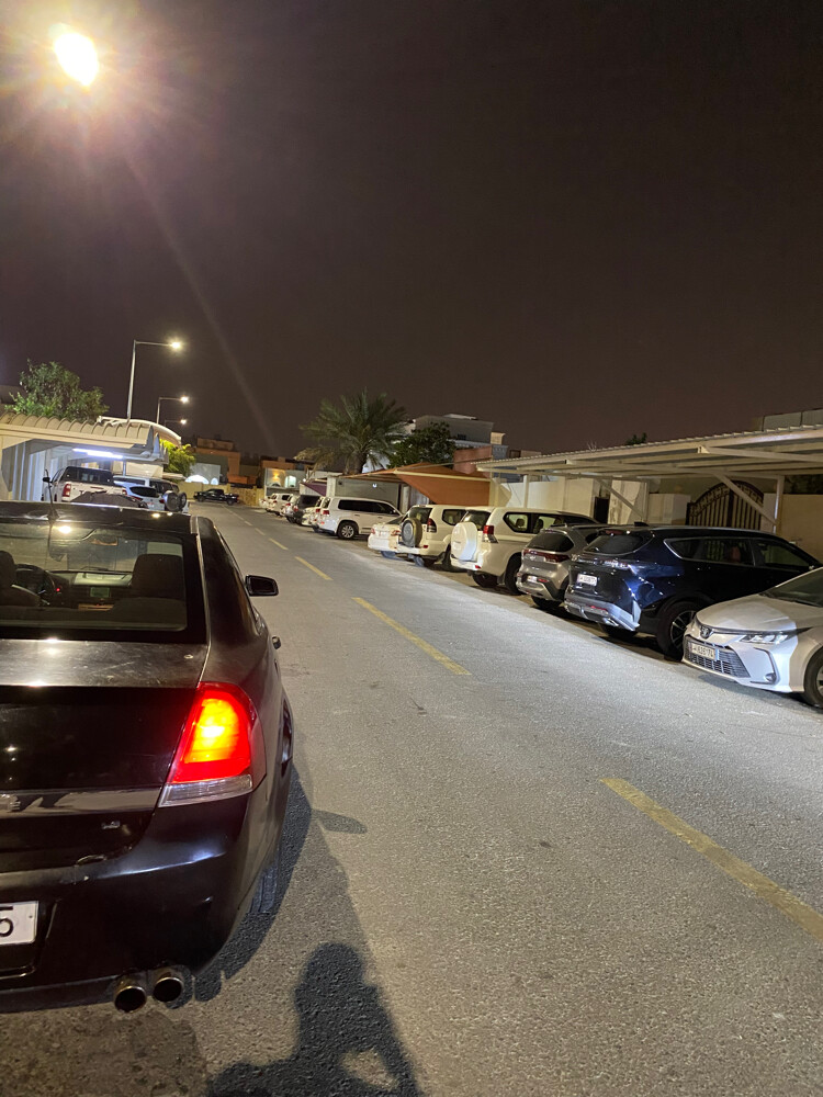 كابرس ٢٠١٠ - 4