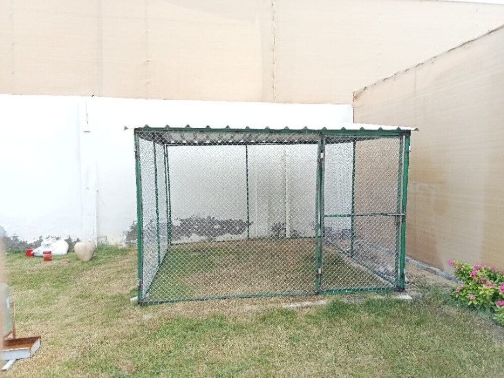 حدادة مظلات وشبوك طيور وحلال.قطر - 5