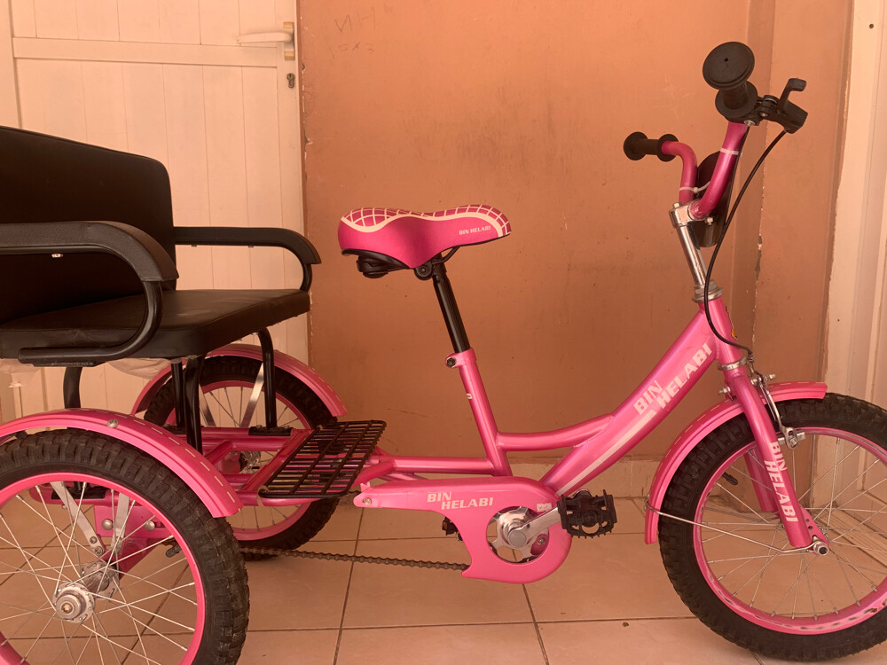 Bicycle 3 wheels - 2
