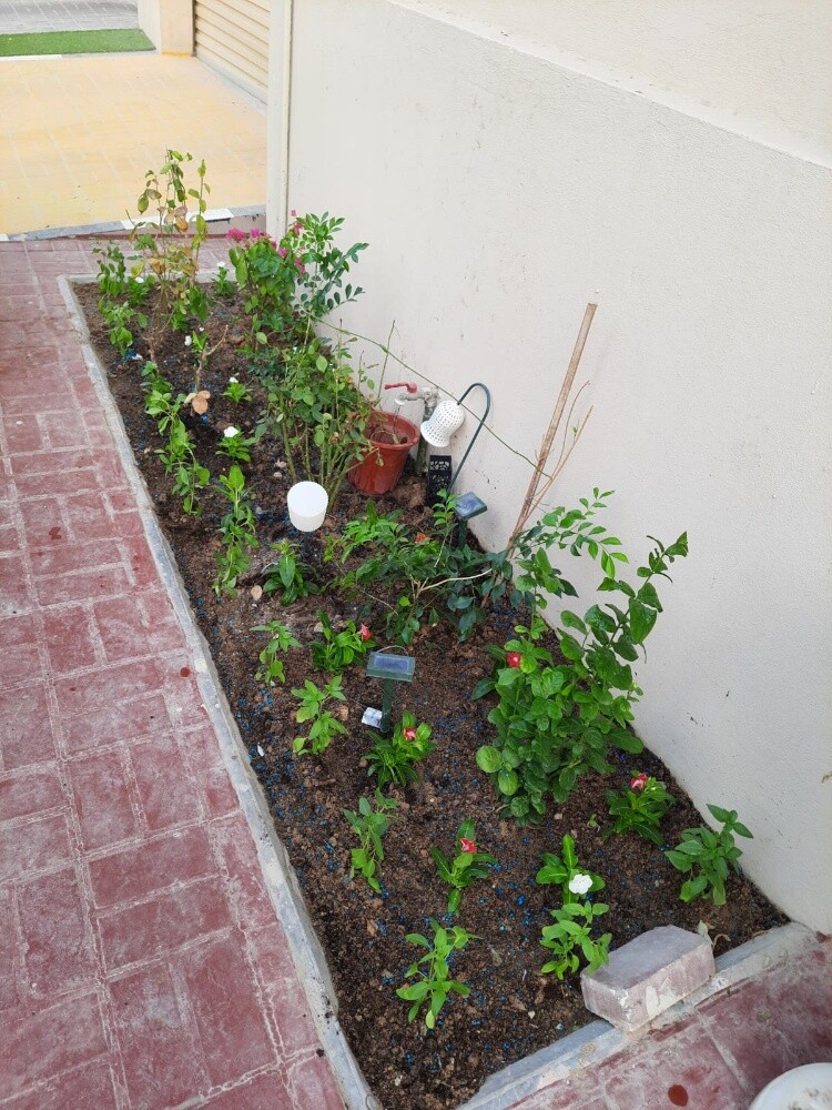 عشب عشب - 2