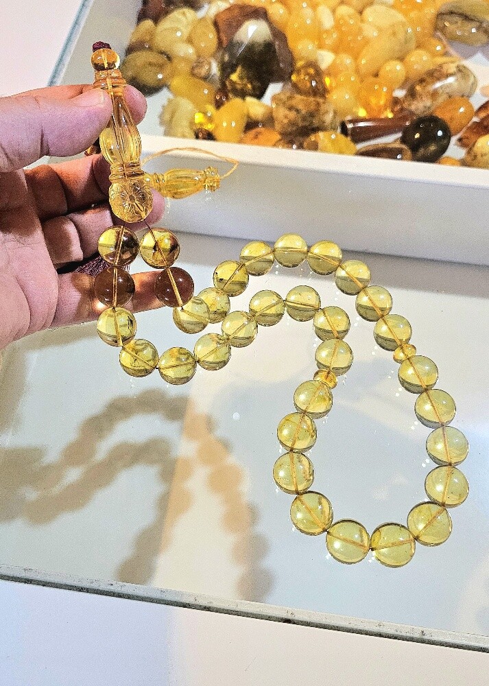 نهائي/مسباح حشرات جامبو - 2