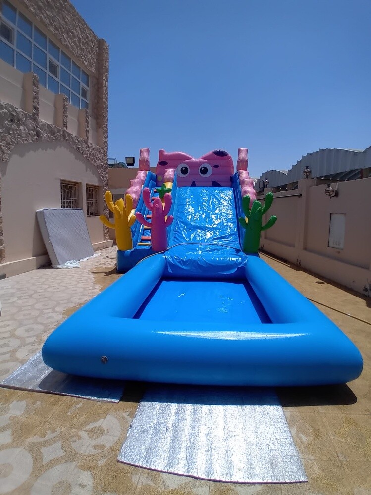 بركة وزحلاقية - 10