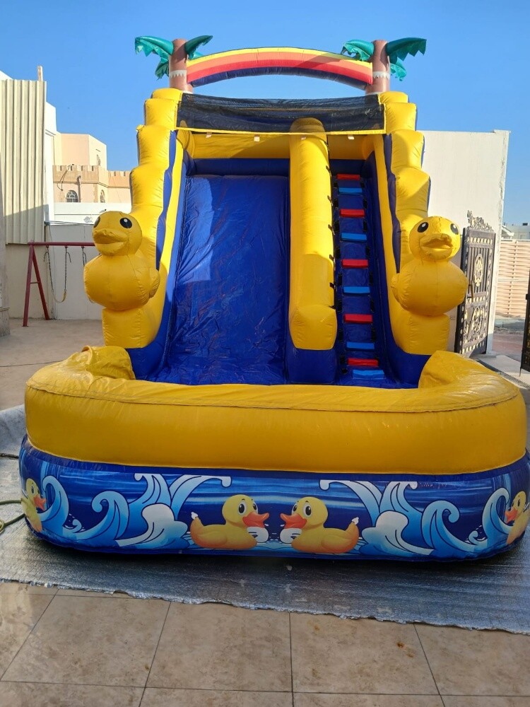 بركة وزحلاقية - 12