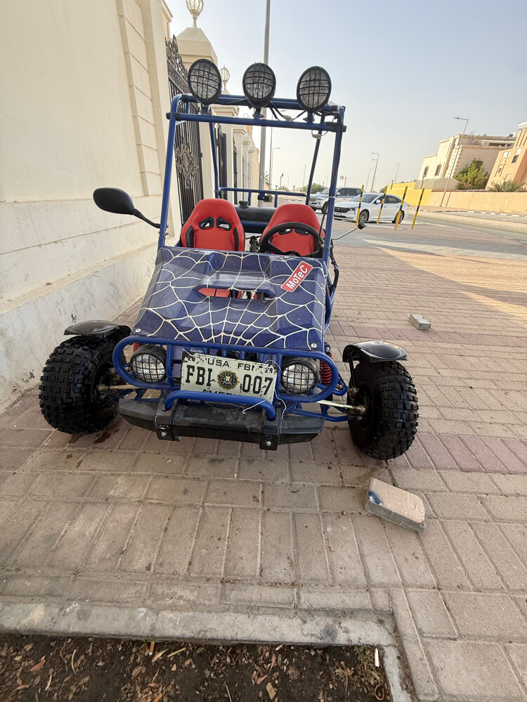 بقي للبيع  الصامل براعيه - 2