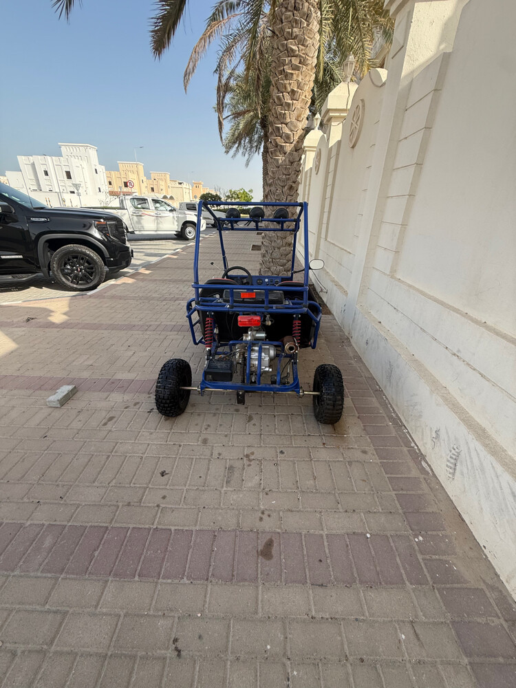 بقي للبيع  الصامل براعيه - 3