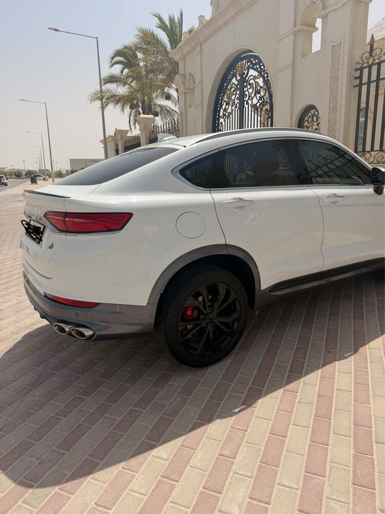 جيلي - 3