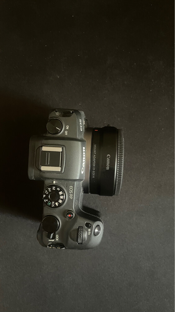 Canon RP + 50mm f1.8 +24-105mm f4 - 3