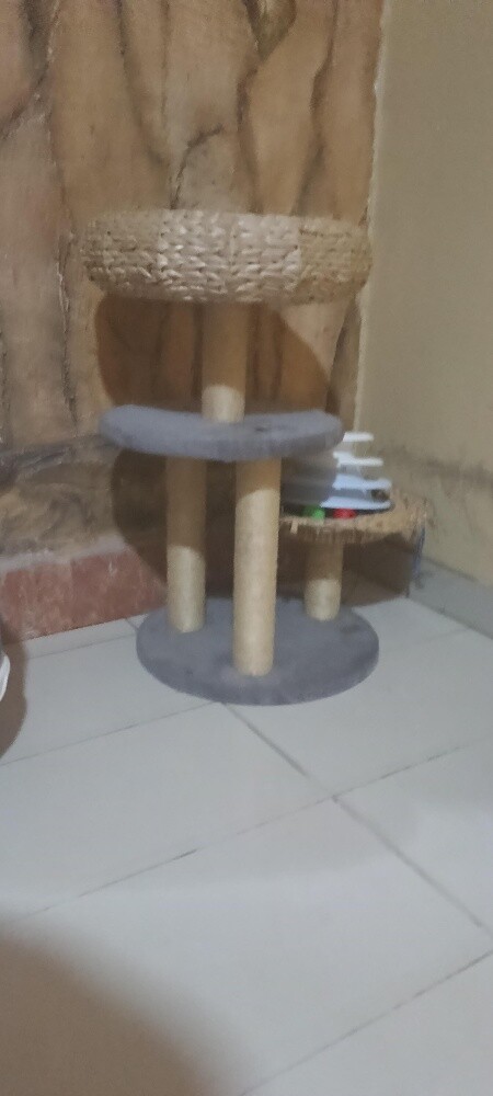 house, cage, and bathroom for the c - 3