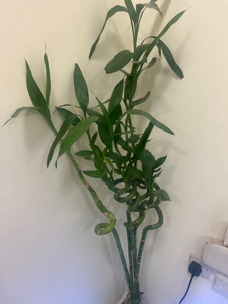 good condition  - 3