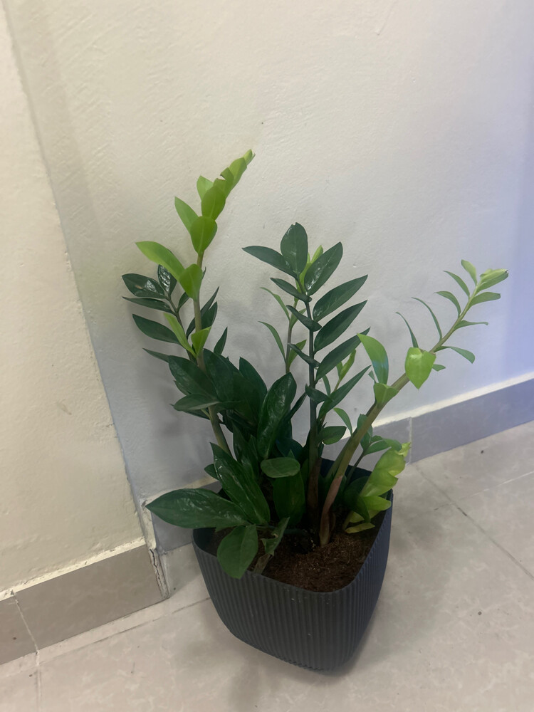 good condition  - 4