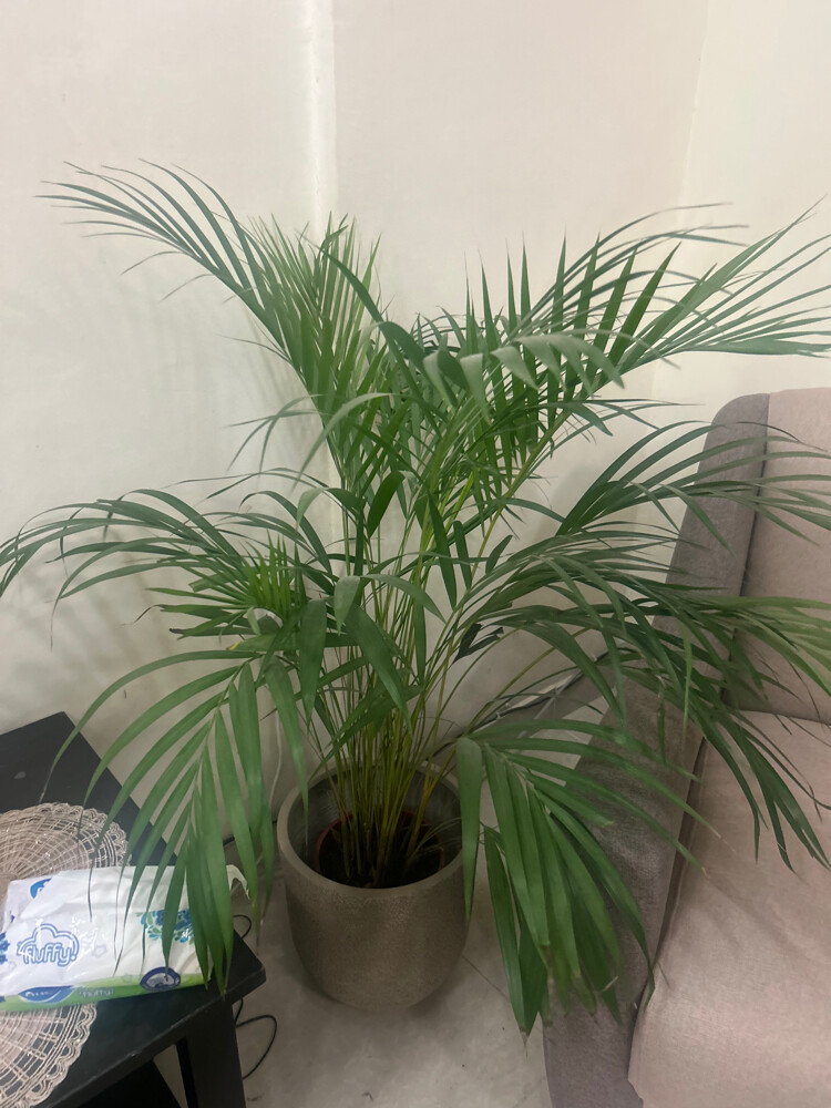 good condition  - 5
