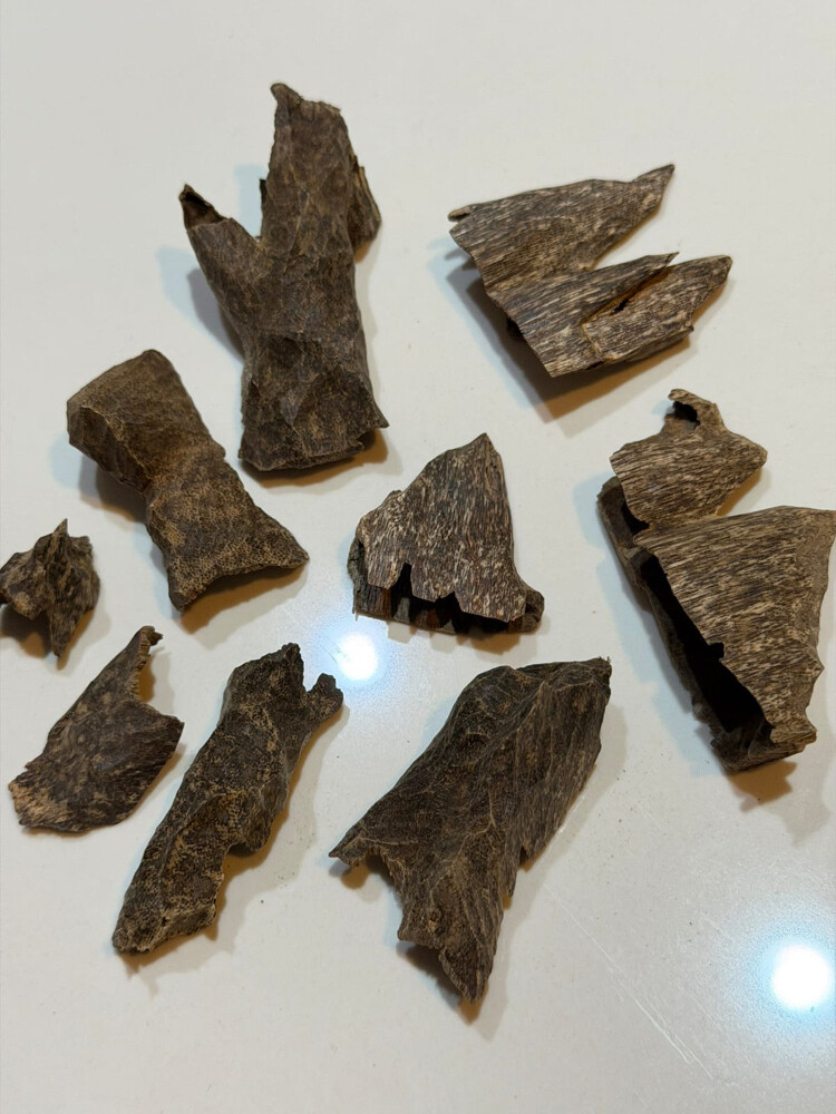 Oud - 1
