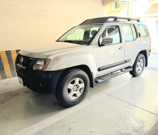 X-TERRA SILVER - 3