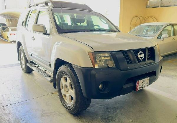 X-TERRA SILVER - 1