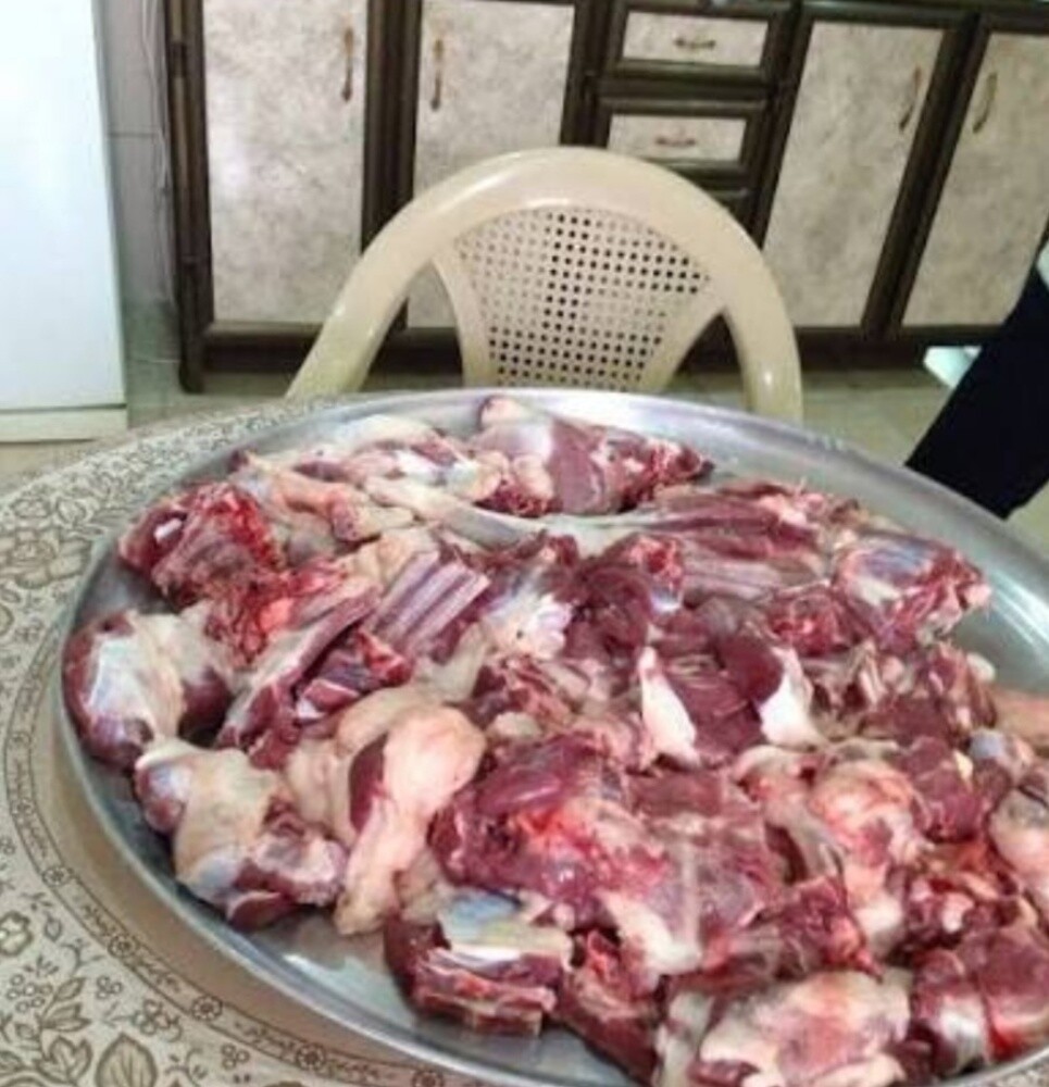 صقرالمنادى - 1
