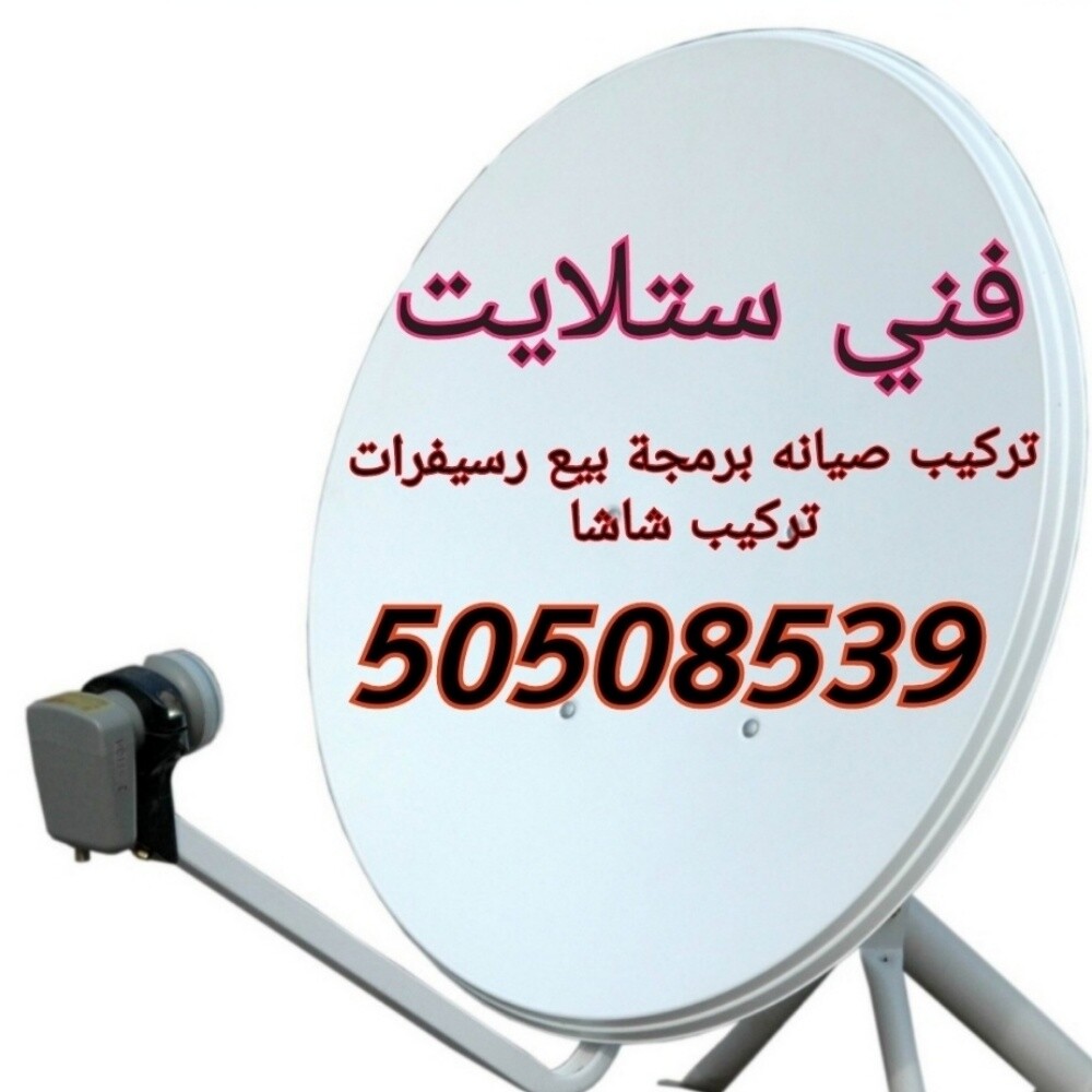 فني ستلايت - 1