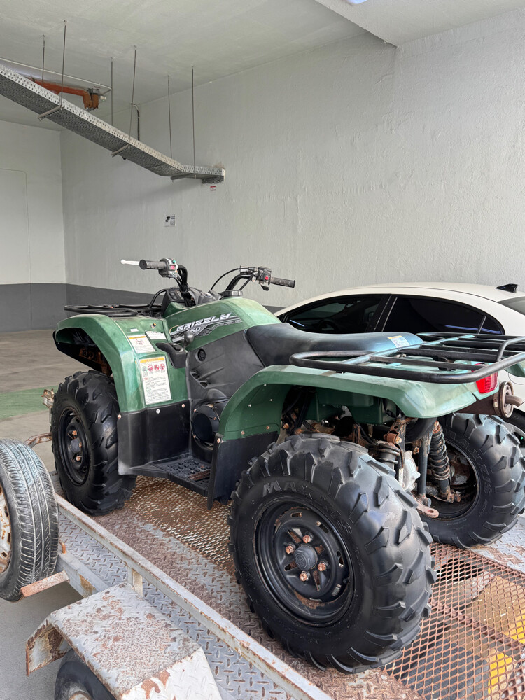yamaha grizly 450 - 3