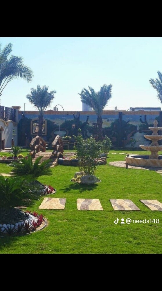 شبكات ارياي - 2