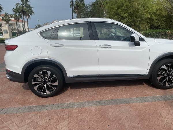 Geely Tugella - 7