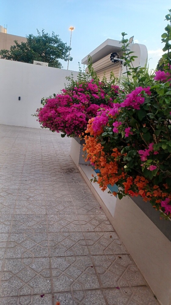 تنسيق الحدائق - 28