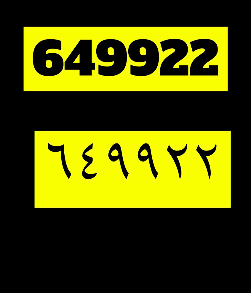 social number in. al morror - 1