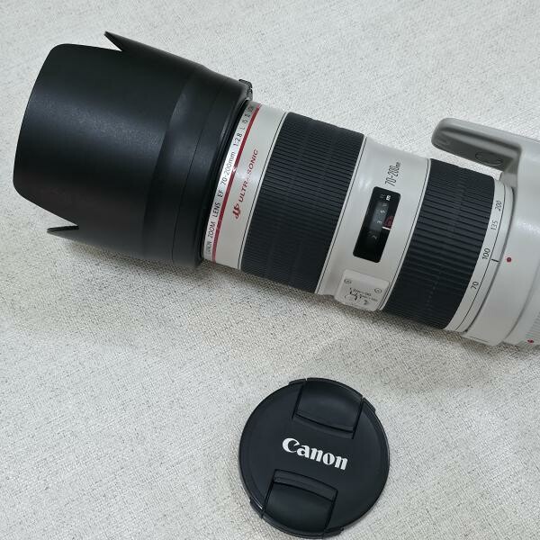 Canon 70-200mm f2.8 ii - 2