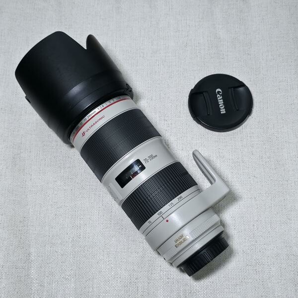 Canon 70-200mm f2.8 ii - 3