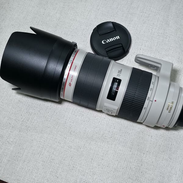 Canon 70-200mm f2.8 ii - 1