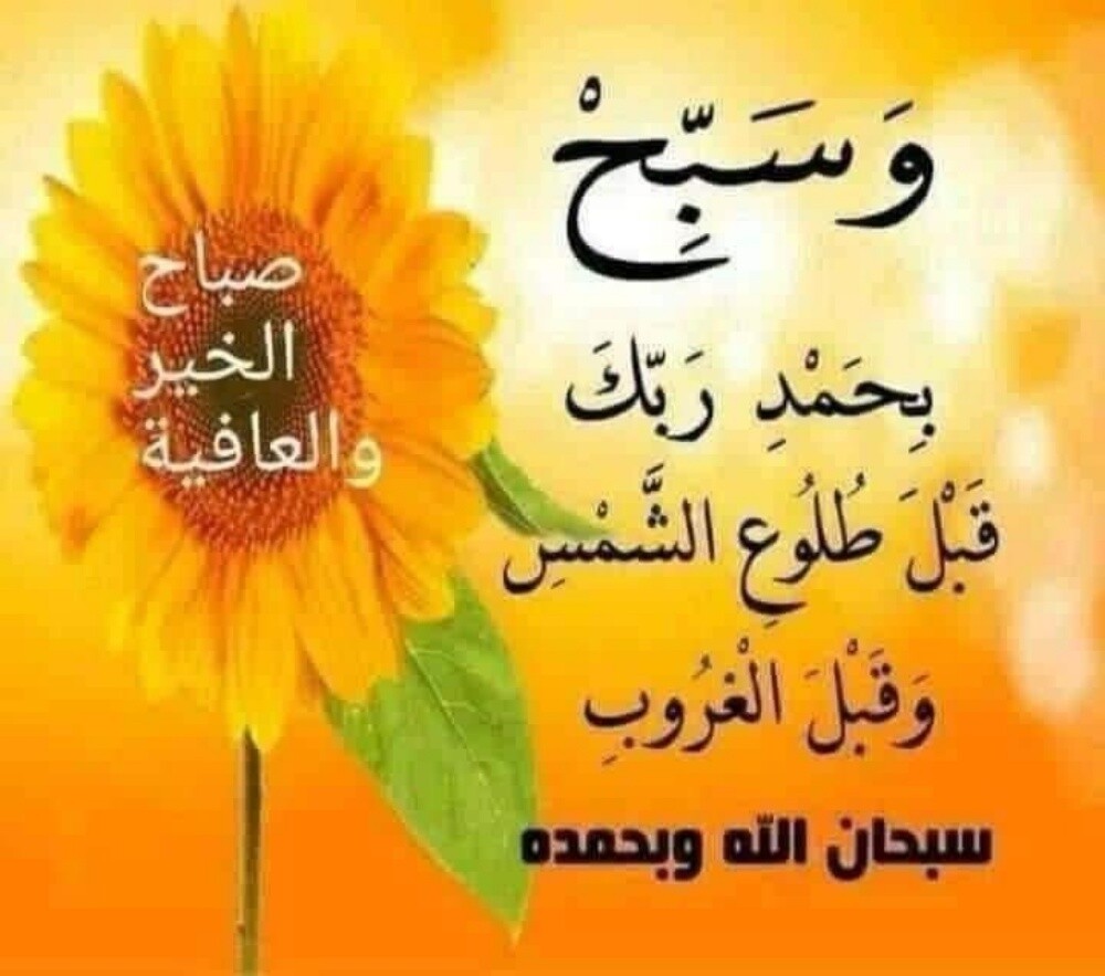 بحث عن وظيفه - 1