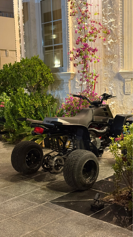 Banshee 350 - 2