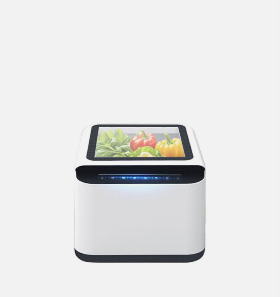 automatic vegetable washer  - 1