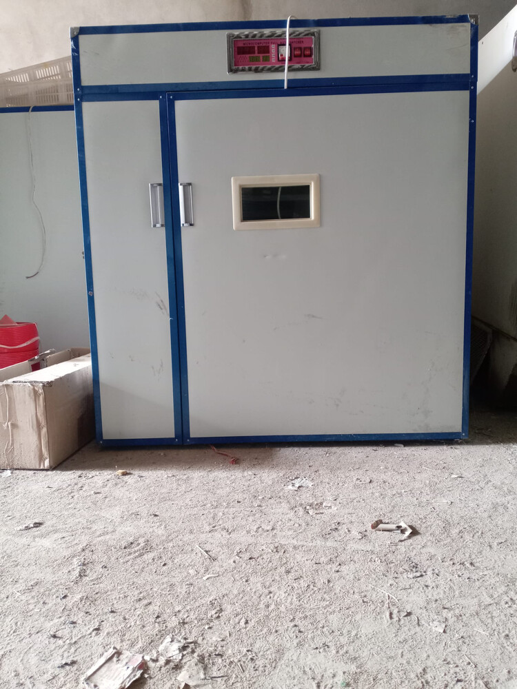 incubator - 1